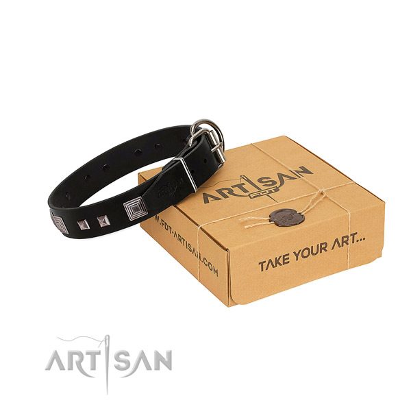 Awesome full grain genuine leather collar with adornments for your dog