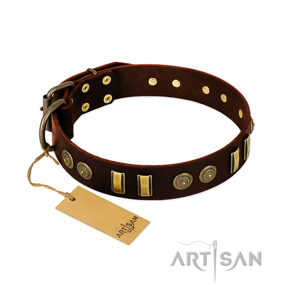 Rust resistant fittings on leather dog collar for your four-legged friend