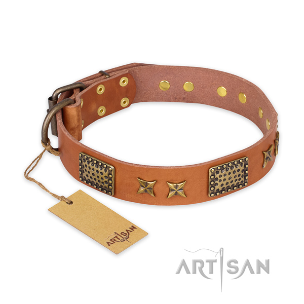 Incredible full grain natural leather dog collar with reliable fittings