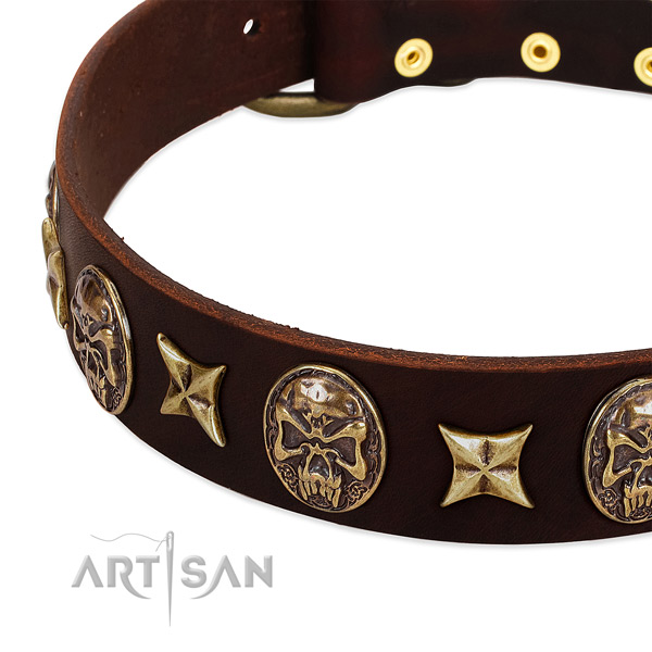 Reliable studs on genuine leather dog collar for your canine