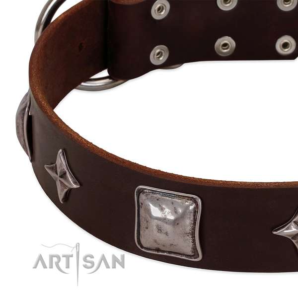 Everyday walking full grain genuine leather dog collar with fashionable embellishments