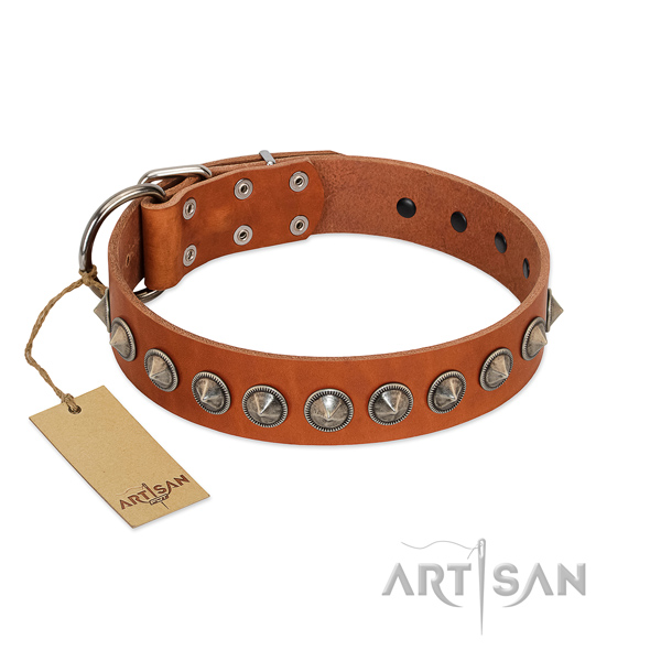 Natural leather dog collar with exceptional studs made pet