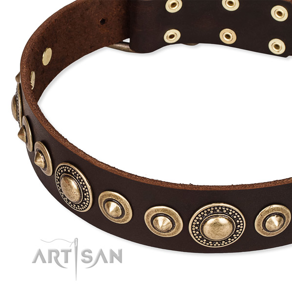 Durable full grain genuine leather dog collar created for your impressive four-legged friend