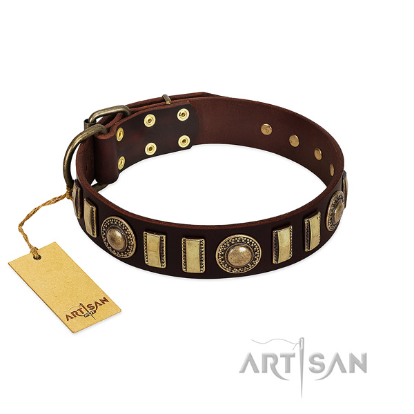 Reliable leather dog collar with strong fittings