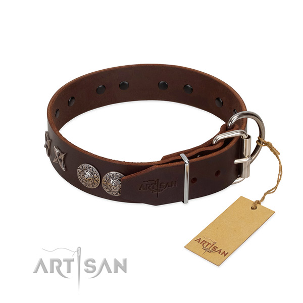 Easy wearing dog collar of leather with stylish studs