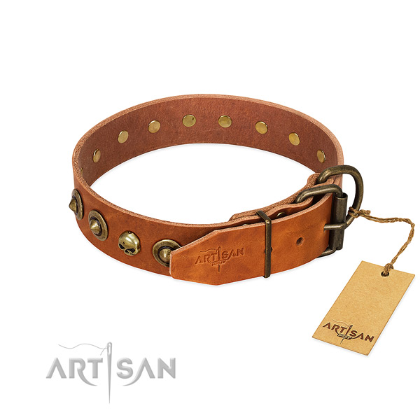 Full grain natural leather collar with remarkable studs for your canine