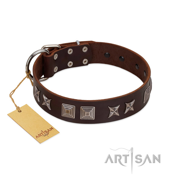 Full grain leather dog collar with exquisite adornments made dog