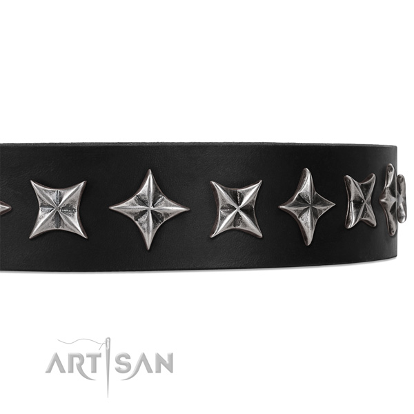 Walking studded dog collar of finest quality full grain leather