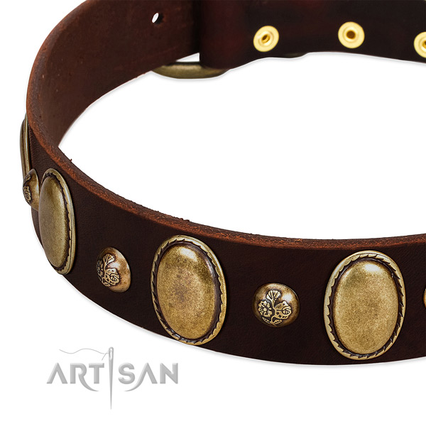 Leather dog collar with amazing adornments