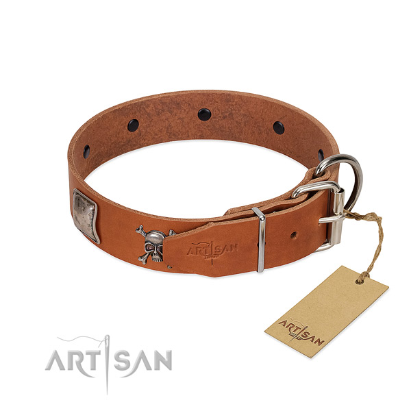 Remarkable genuine leather collar for your attractive canine