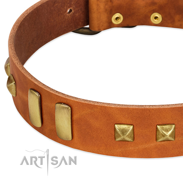 High quality full grain leather dog collar with decorations for daily use