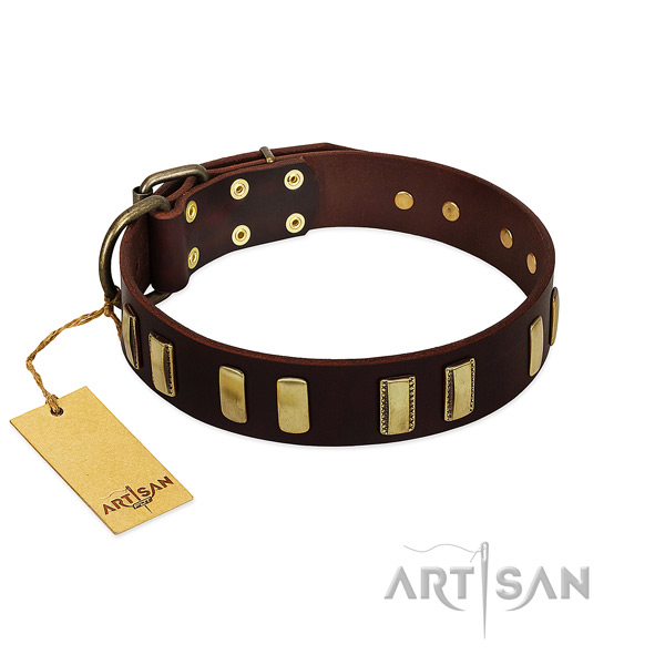 Full grain leather dog collar with corrosion resistant fittings for comfortable wearing