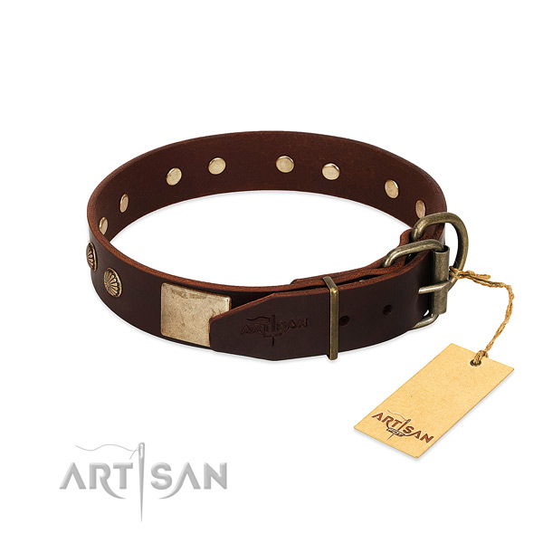 Durable decorations on daily walking dog collar