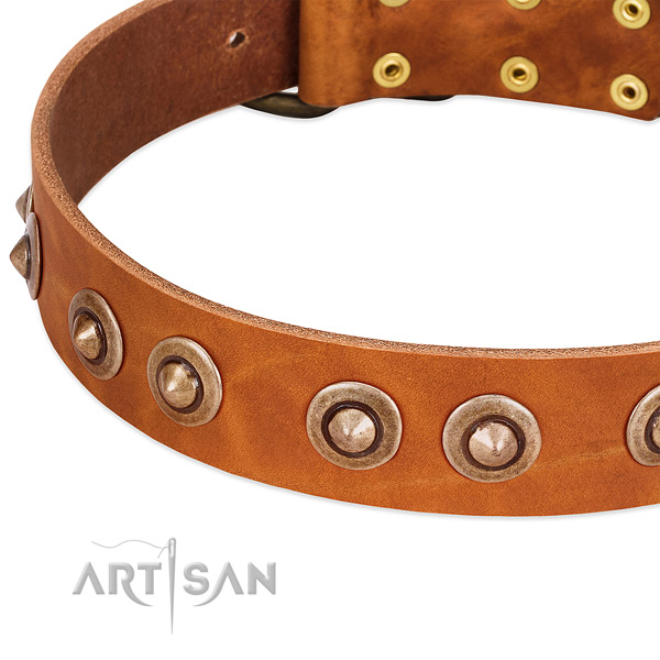 Durable adornments on full grain genuine leather dog collar for your doggie