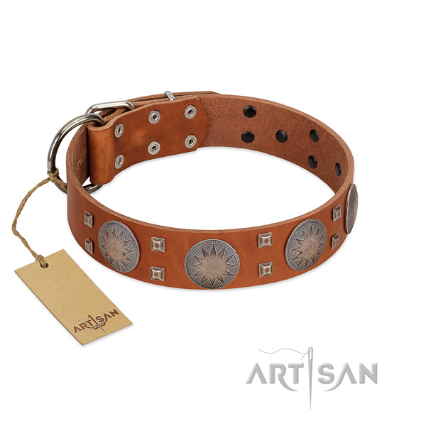 Inimitable leather collar for your beautiful four-legged friend
