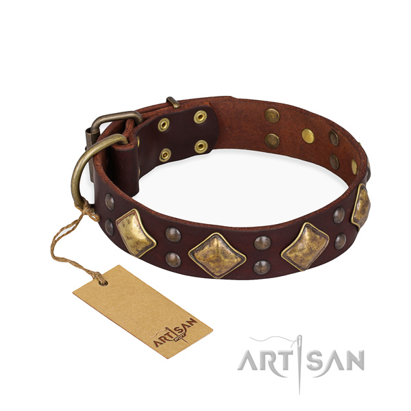 Comfy wearing decorated dog collar with strong buckle