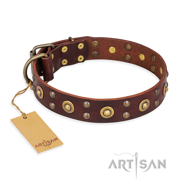 Unique genuine leather dog collar with rust resistant traditional buckle