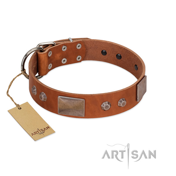 Handcrafted leather collar for your handsome four-legged friend