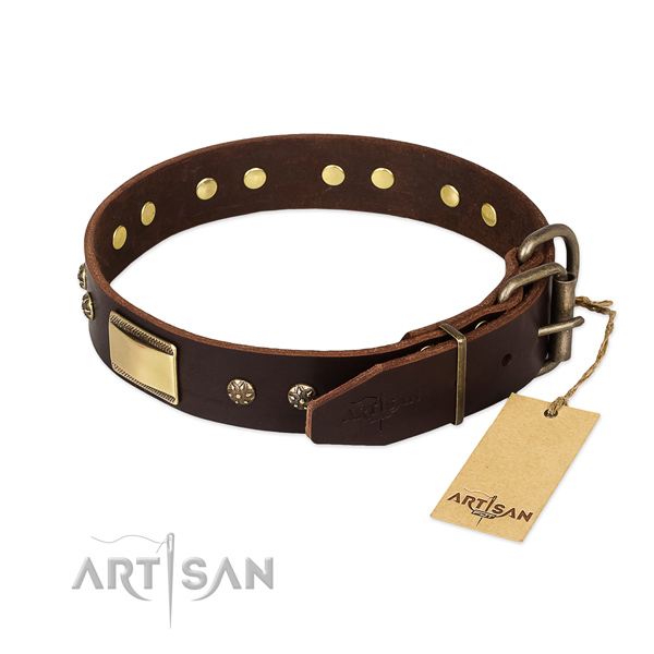 Embellished leather collar for your dog