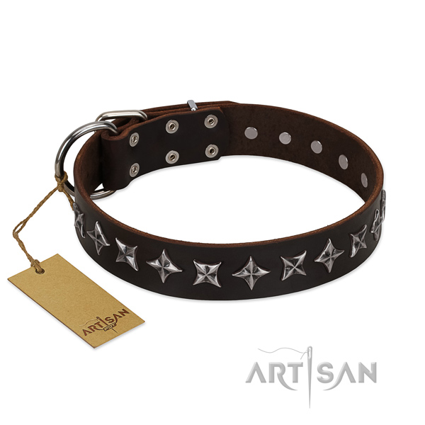 Fancy walking dog collar of high quality leather with decorations