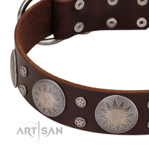 Top rate full grain leather dog collar with decorations for your stylish pet