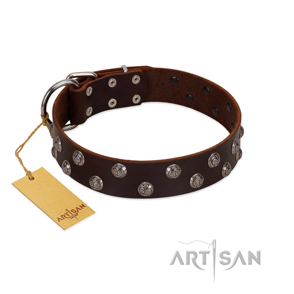 Best quality natural leather dog collar with embellishments