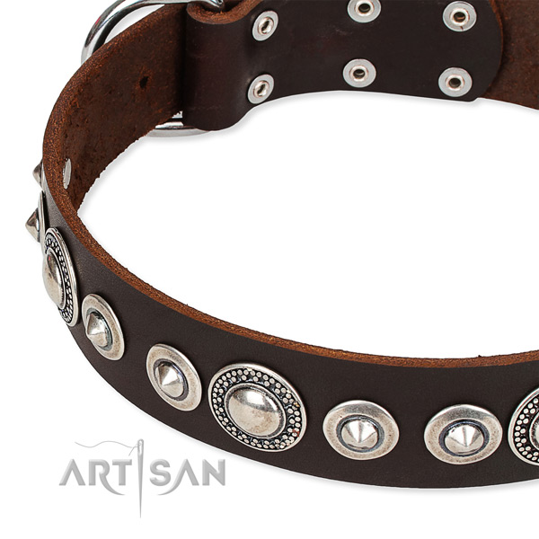 Daily use embellished dog collar of top quality full grain genuine leather
