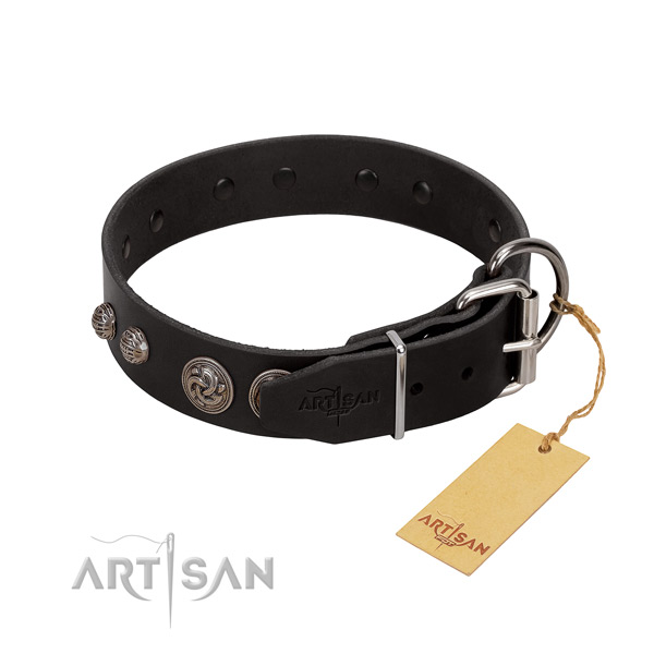 Fashionable natural leather dog collar with corrosion resistant fittings