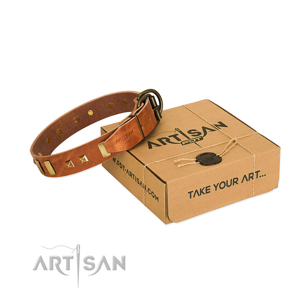 Reliable full grain leather dog collar with embellishments for daily use