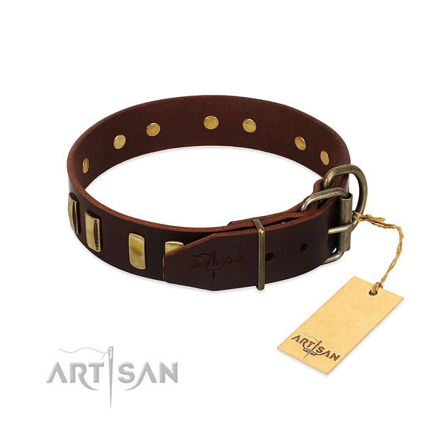 Full grain genuine leather dog collar with rust resistant traditional buckle for walking