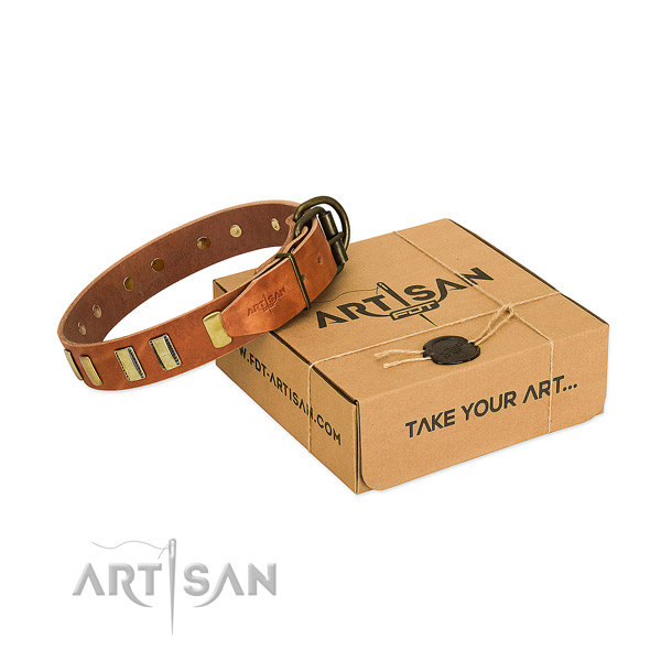 Full grain natural leather dog collar with corrosion resistant D-ring for everyday use