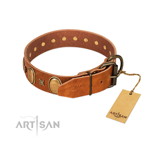 Strong embellishments on daily use dog collar