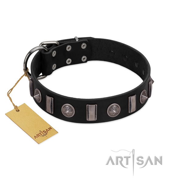 Best quality full grain natural leather dog collar with decorations for everyday walking