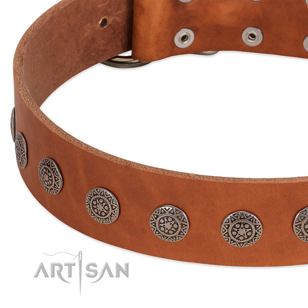 Fashionable full grain natural leather collar with adornments for your four-legged friend