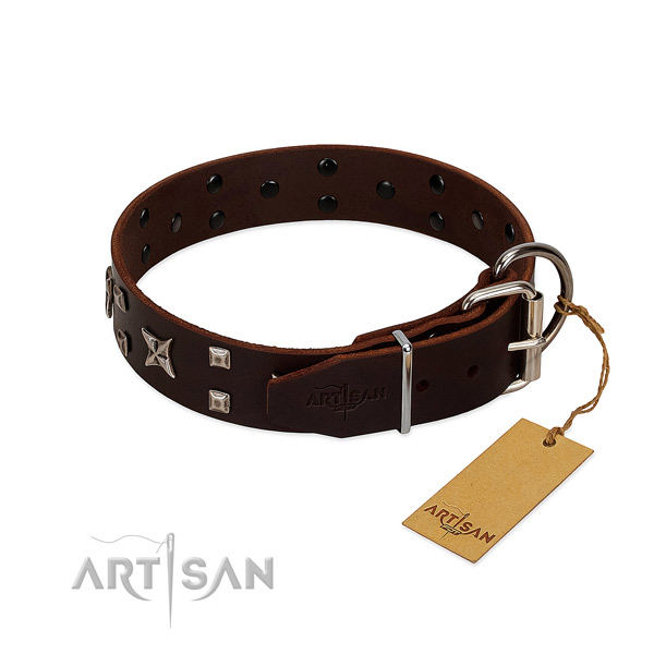 High quality leather collar created for your canine