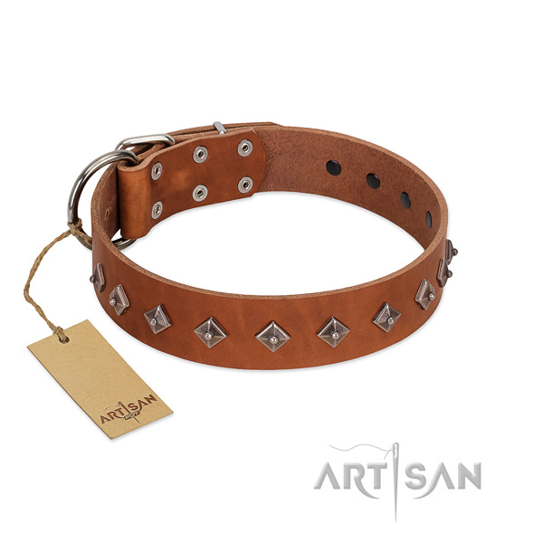 Natural leather dog collar with stunning embellishments handcrafted canine