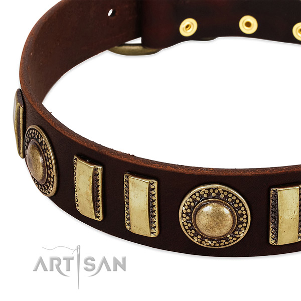 Durable leather dog collar with strong buckle