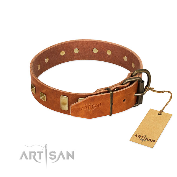 Gentle to touch full grain genuine leather dog collar with reliable fittings