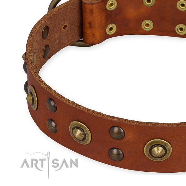 Full grain natural leather collar with strong fittings for your lovely pet