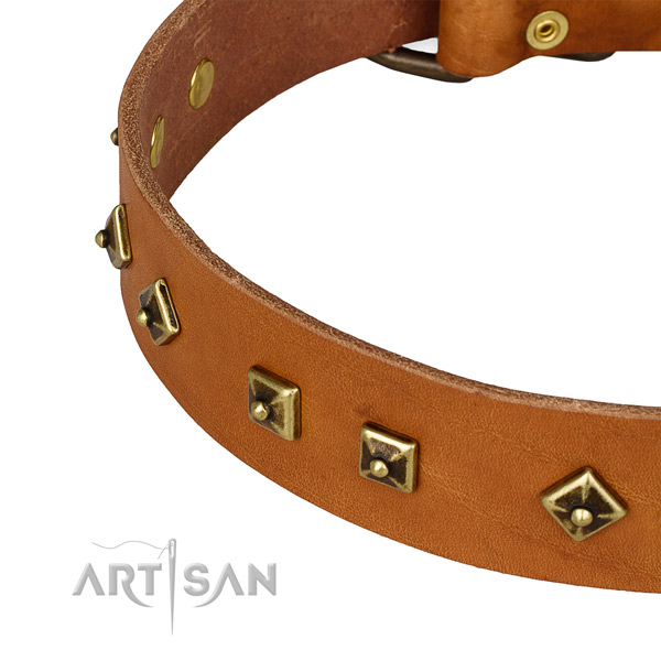 Fashionable full grain leather collar for your stylish dog
