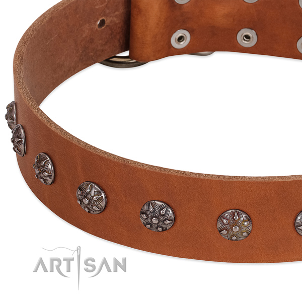 Soft genuine leather dog collar with studs for your canine