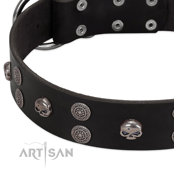 Top rate full grain natural leather dog collar with trendy embellishments