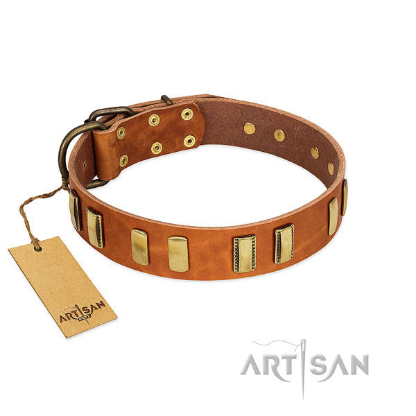 Gentle to touch full grain natural leather dog collar with rust-proof fittings