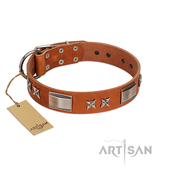 Gentle to touch leather dog collar with strong buckle