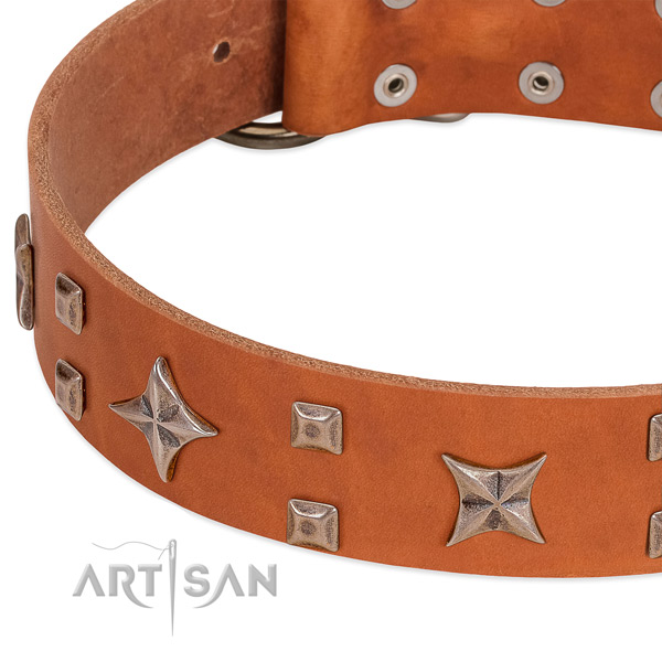 Corrosion proof D-ring on natural genuine leather collar for walking your four-legged friend