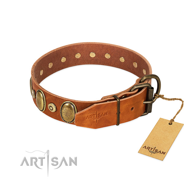 Rust resistant embellishments on everyday use collar for your pet
