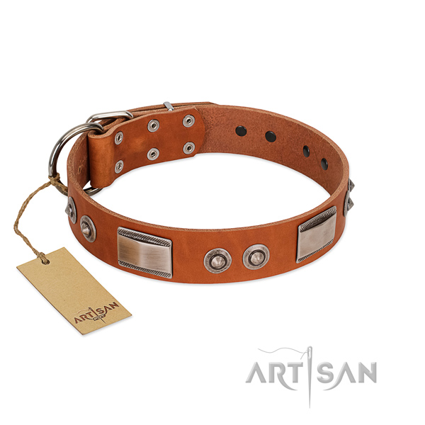 Easy wearing genuine leather collar with decorations for your dog