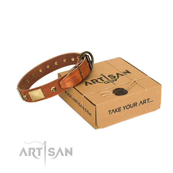 Strong full grain leather collar with corrosion resistant adornments for your dog