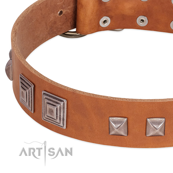 Strong traditional buckle on full grain natural leather dog collar for everyday walking