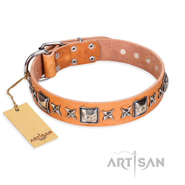 Everyday walking dog collar of top quality genuine leather with decorations